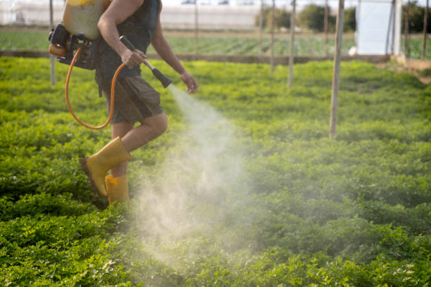 Best Pest Control Cost  in Downingtown, PA