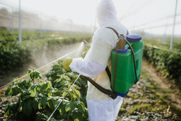 Professional Pest Control in Downingtown, PA
